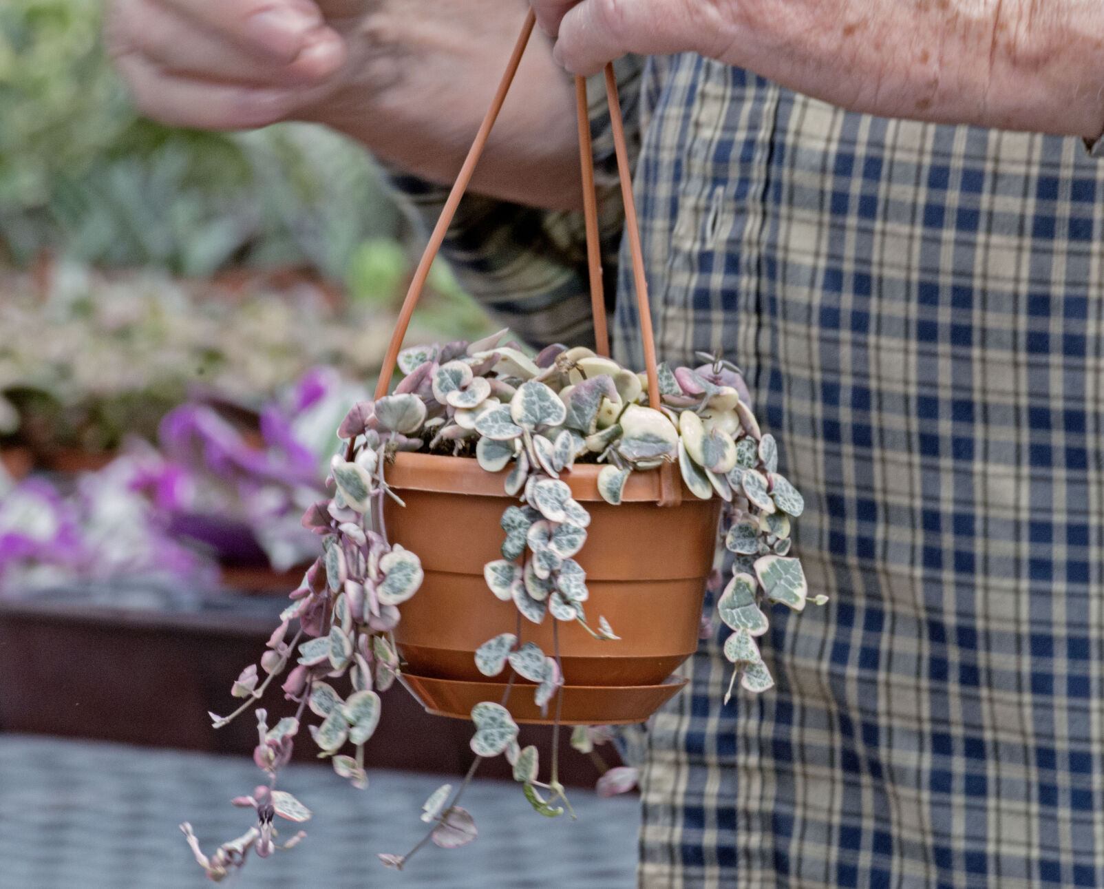 Gary's Specialty Plants